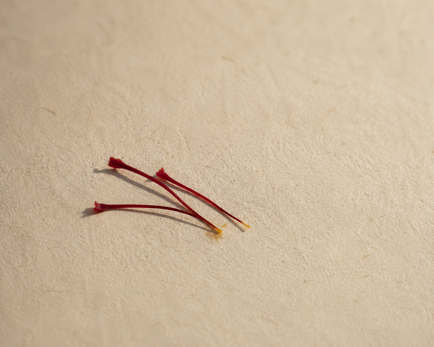 Three crimson saffron threads laid apart on pale handmade paper in soft daylight.